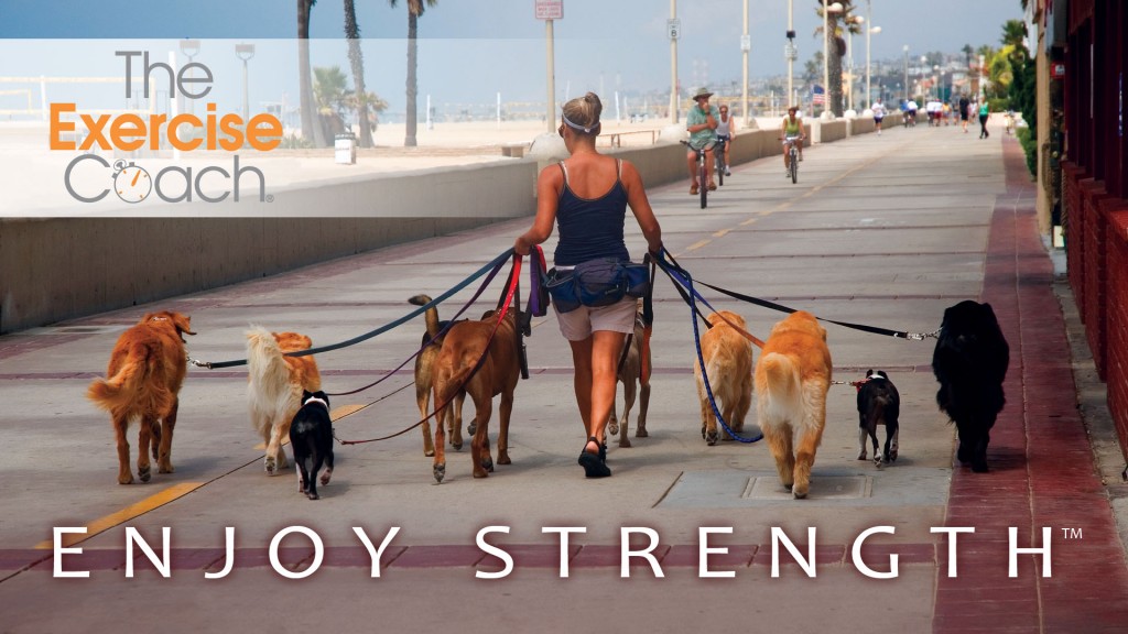 Walking Dogs
